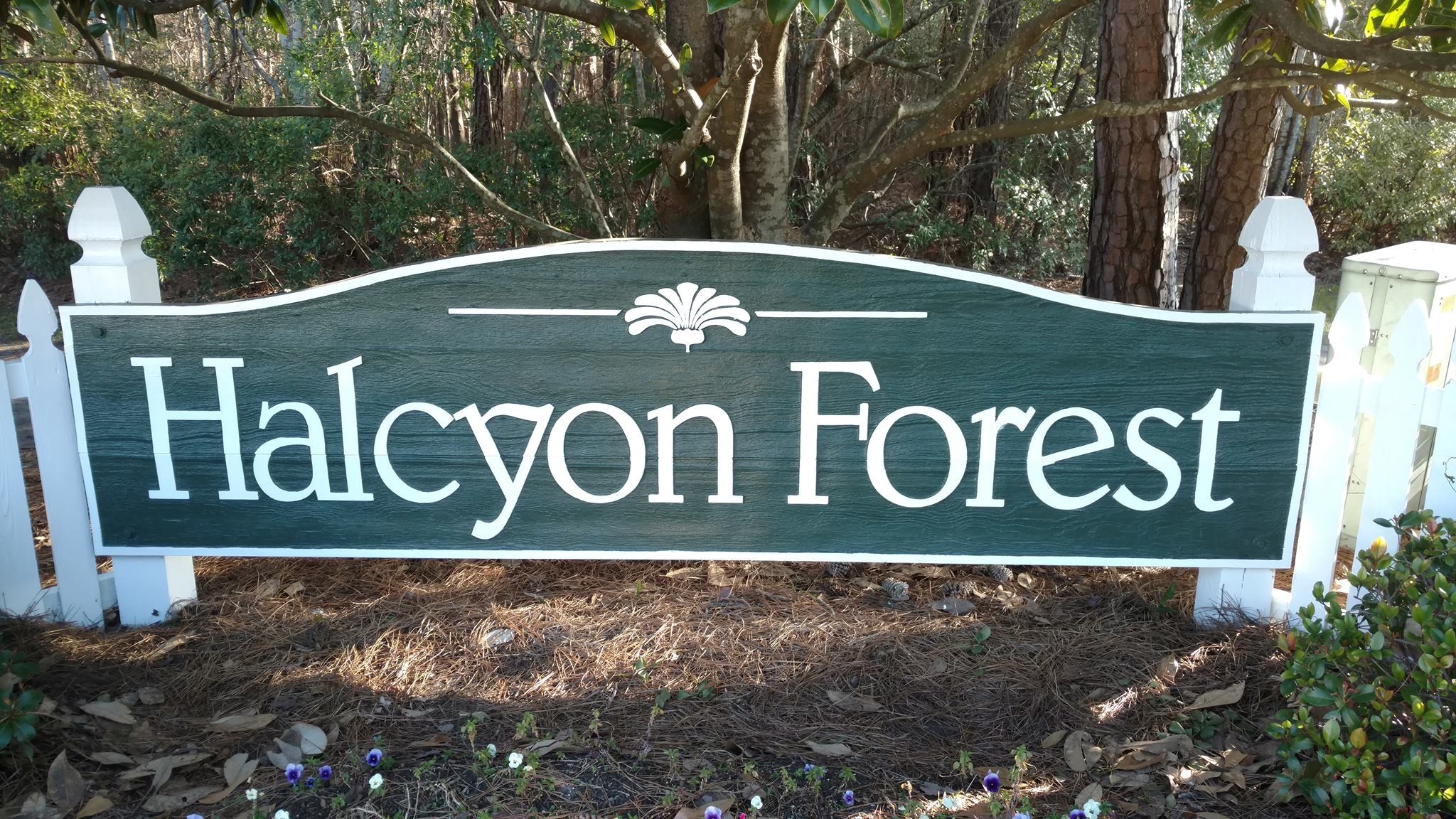 Halcyon Forest