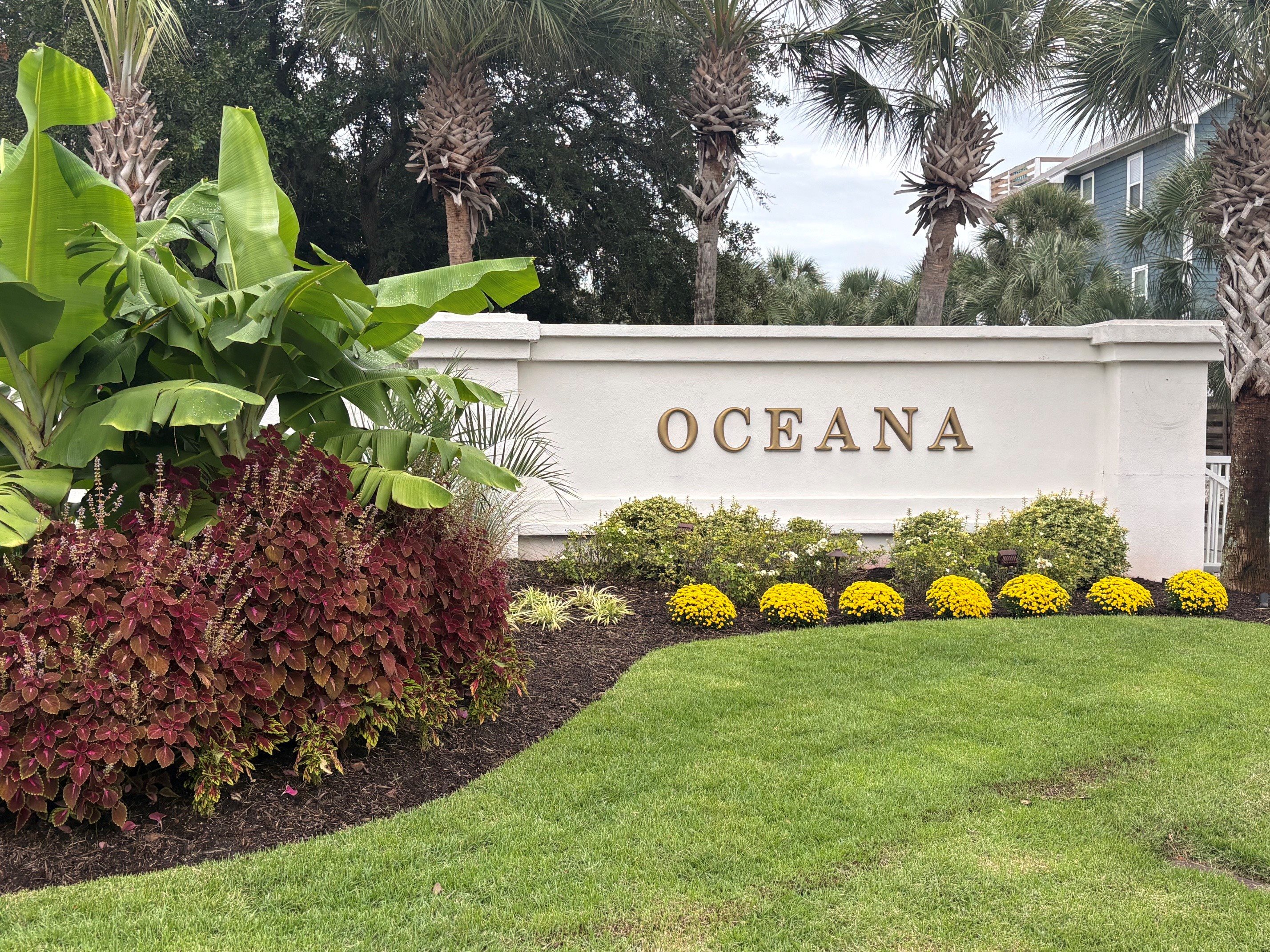 Oceana and Oceana Marina